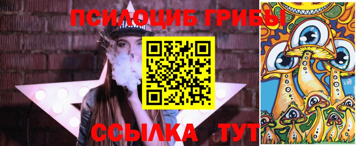 Псилоцибиновые грибы Psilocybe  Вход с VPN  Десногорск 