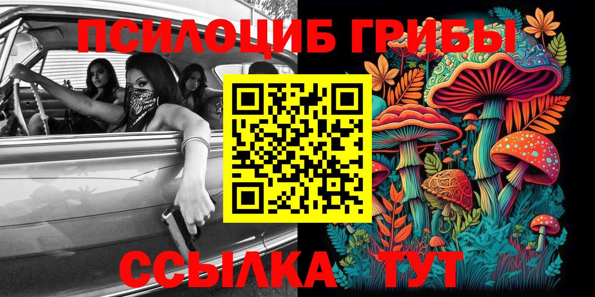 Галлюциногенные грибы Cubensis Десногорск